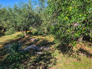 Holiday Home Sandra by Interhome - Brzac - 3