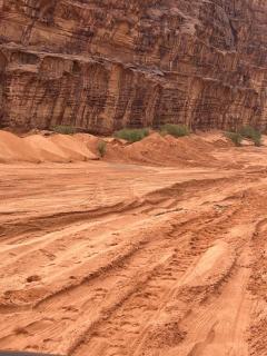 Bedouin Luxe Camp & Tour - 9