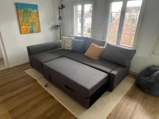 Apartment im Winkel - Reinach - 5