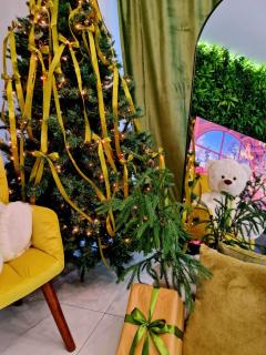 Penthouse Aeroport Iasi - 7