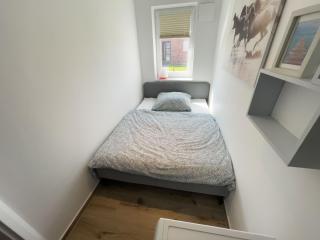 Genießerei am Wangermeer - 2