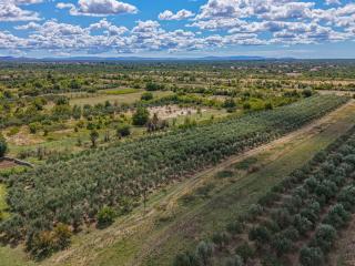 Holiday Home Rural Villa Olive Krka by Interhome - 1