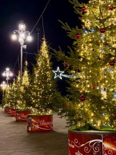 Five Flowers Guest House - Trieste - 9