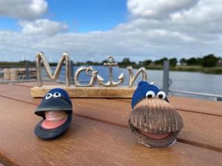 Hausboot Optimo mit Hund - 5