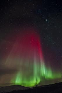 Tromsø from the front row - with unforgettable views - 6