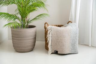 Tromsø from the front row - with unforgettable views - 1