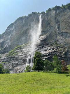 Garden Park Apartment - 4