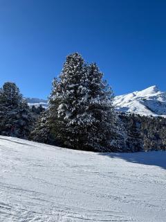 Garden Park Apartment - 8