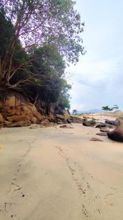 Bayside & Beach Inn Langkawi - 3