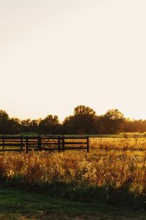 Castle near Saint Emilion with services included - 4