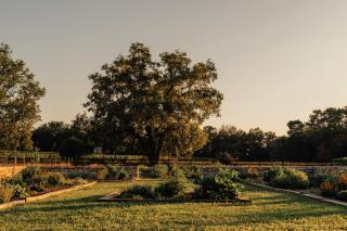 Castle near Saint Emilion with services included - 2