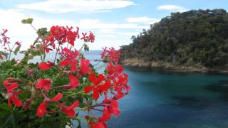 Hotel La Calanque - Cavalaire-sur-Mer - 4