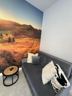 Pokoje i Apartamenty nad Przełomem Dunajca-Sauna & Balia - 9