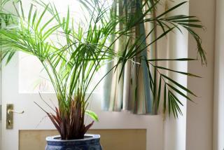 Sycamore Farm Barns - 6