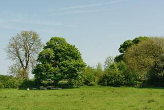 Sycamore Farm Barns - 4