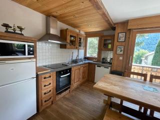 Spacious 2 bedroom apt with terrace Chamonix center - 2