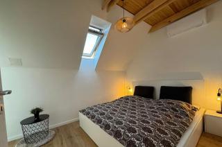 Wonder Lele RTRT - 2