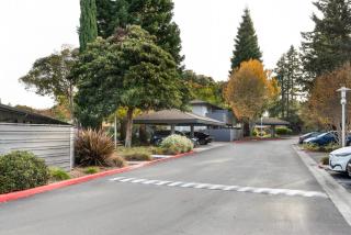 Mountain View 1BR w Pool Gym nr Target TJ SFO-590 - 7