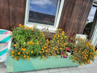 NEU! Ferienwohnung Unterfranken - 3