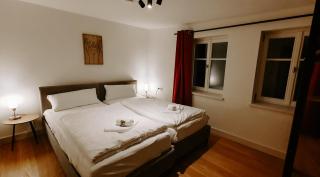 Fachwerk Loft - Parken - Balkon - Appartement am Kocher & Stadtpark - 9