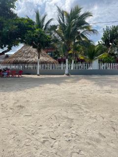 Las Margaritas Frente al Mar 2 - 3