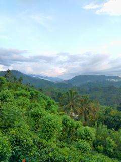 Rainforest Nature House - 5