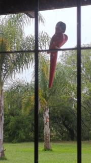 Posada El Descanso - 8