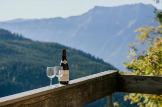 Peaceful Alpine Home with a View & Hot Tub - 1