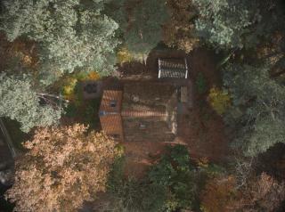 Hestia - Cottage in the woods! - 0