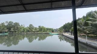 Munroe Mangrove Forest Lake Holidays Resorts - 8