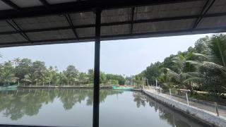 Munroe Mangrove Forest Lake Holidays Resorts - 9