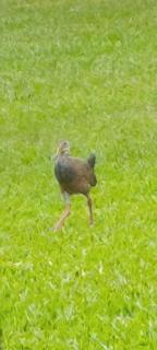 posada El descanso - 9