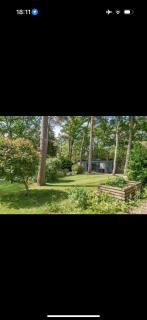 Kiwi Pines forest retreat! - 3