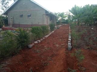 Sunrays Guests Cottages - 3