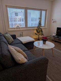 20 - Nice apartment in Kemi City Centre, free parking! - 8