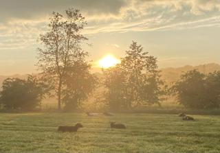 Landgoedboerderij Oosterheerdt - 8