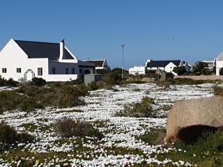 West Coast Shores - 1