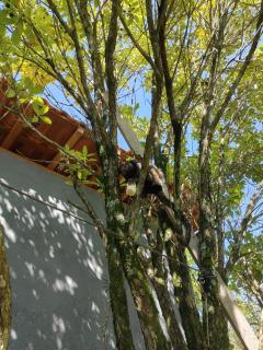 Chácara presente de Deus - 3