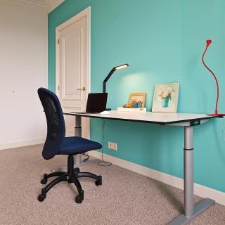 Flora's Palace - The Hague Scheveningen - The Hague - 1