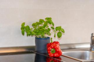 Grüntal 8, Whg 2 - 2