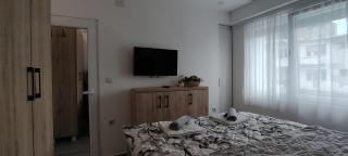 Apartman Vulic Soko Banja - 1