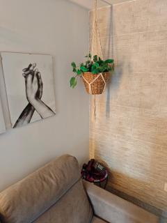 Apartamento MARIANTO - 5