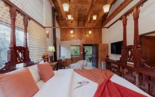 The Water Willow By Vanavya - 8