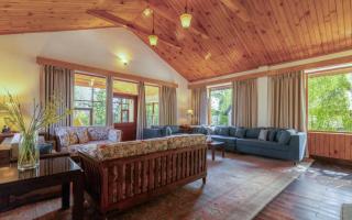 The Water Willow By Vanavya - 5