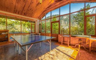 The Water Willow By Vanavya - 4