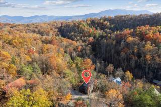 Green & Black Bear Cabins by Beyond Expectations - 4