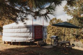 Mongolian yurt at a nature retreat - Miramonte - 0
