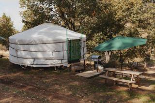 Cosy yurt at a nature retreat in Sequoia N Forest - Miramonte - 3