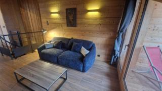 Chalet Delphinette - Spa privatif - 1