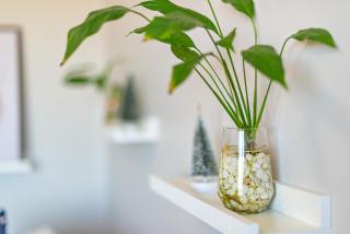 Skyline Moinhos de Vento - 1